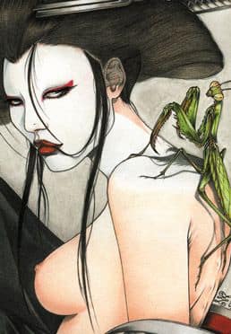 Geisha Project - Geisha Mantis