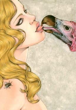 Other Works - The kiss of Vulture